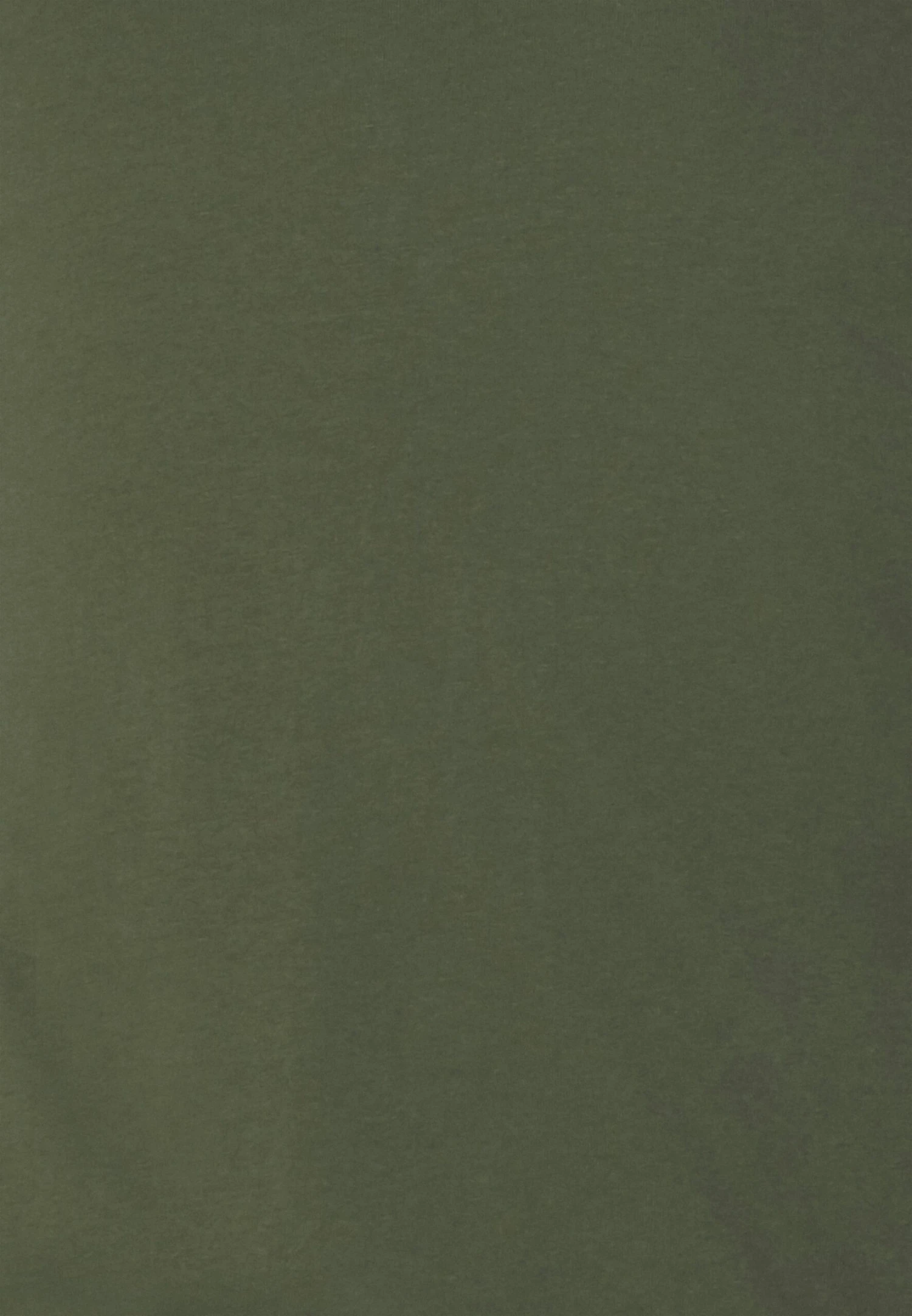 Pier One 2 Pack - Longsleeve - Off-White/Dark Green 6 Pier One 2 Pack - Longsleeve - Off-White/Dark Green - Afbeelding 6